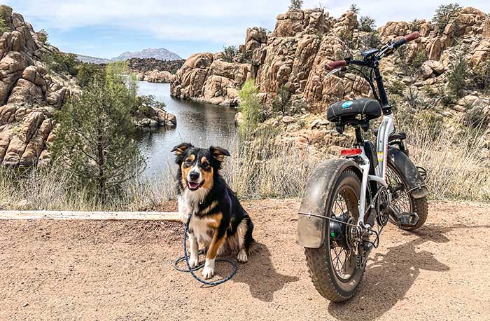 Dog Sitting Next to Ebike on Trail next to Lake