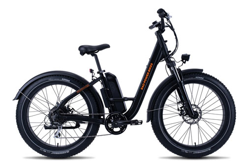 Rover ebike clearance